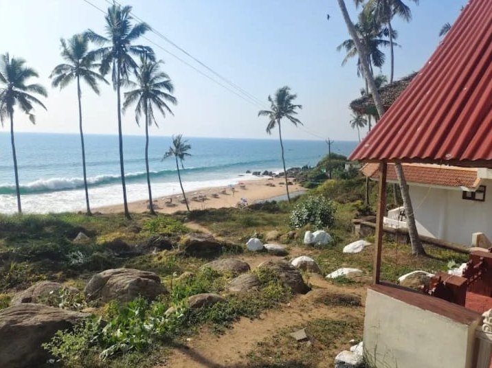 Kovalam coastline with palm trees