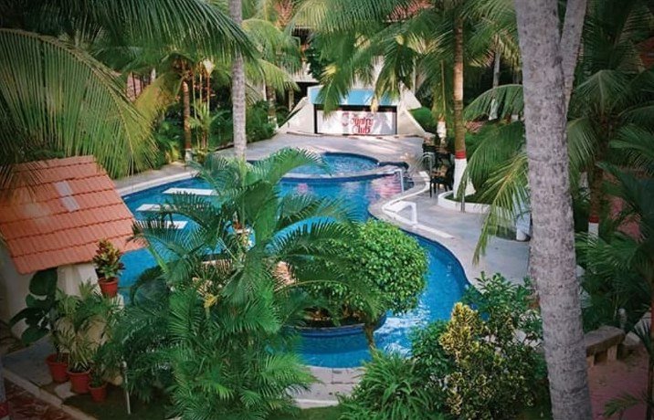 Swimming pool surrounded by palms